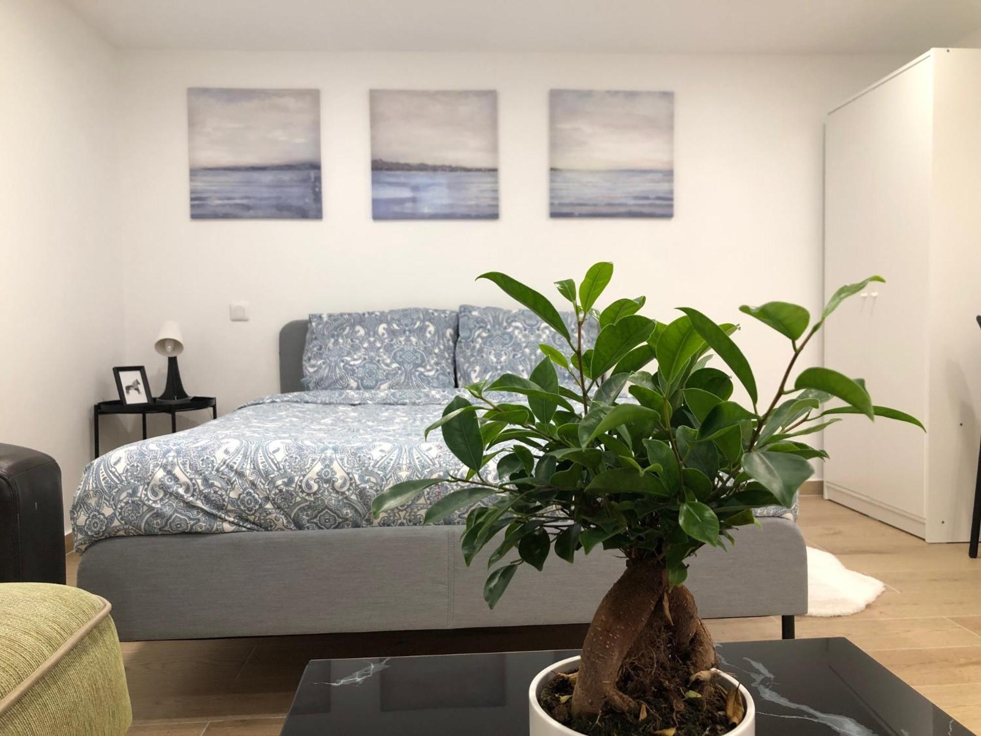 Appartement Grand F2 Confortable Saint-Denis (Seine-Saint-Denis)